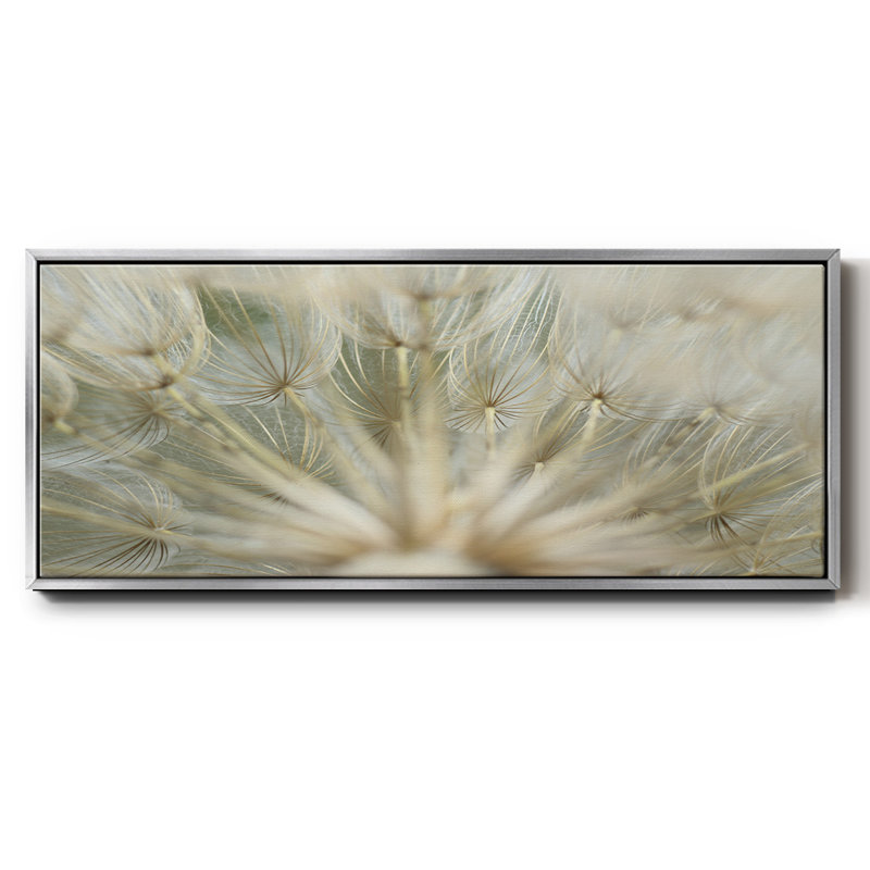 Macro Dandelion IV - toile encadrée, H 20 po x l 50 po