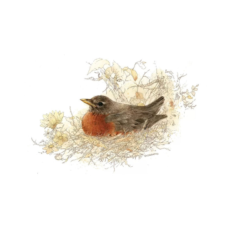 «Robin Vignette» par Giordano Studios - peinture sur toile tendue, H 26 po x l 40 po x 1,5 po