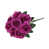 Prune fuchsia