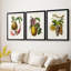 Fruit of the Tropics I - reproduction sur mesure encadrée de qualité supérieure - 3 pièces-468485406-468485404