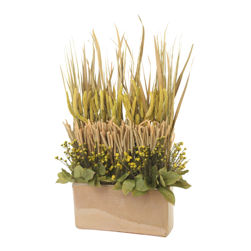 Mixed Drieds in Mocha Glazed Planter