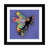 Framed Paper n'est pas disponible
