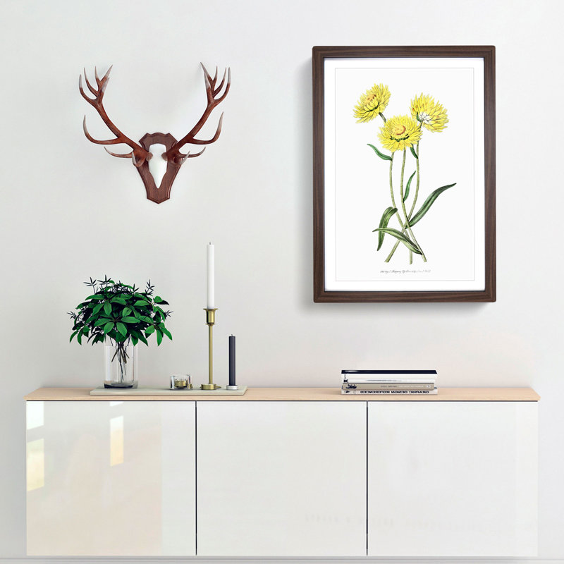 Yellow Starflowers - Framed Print, 36cm H x 27cm W x 2cm D, Walnut Framed