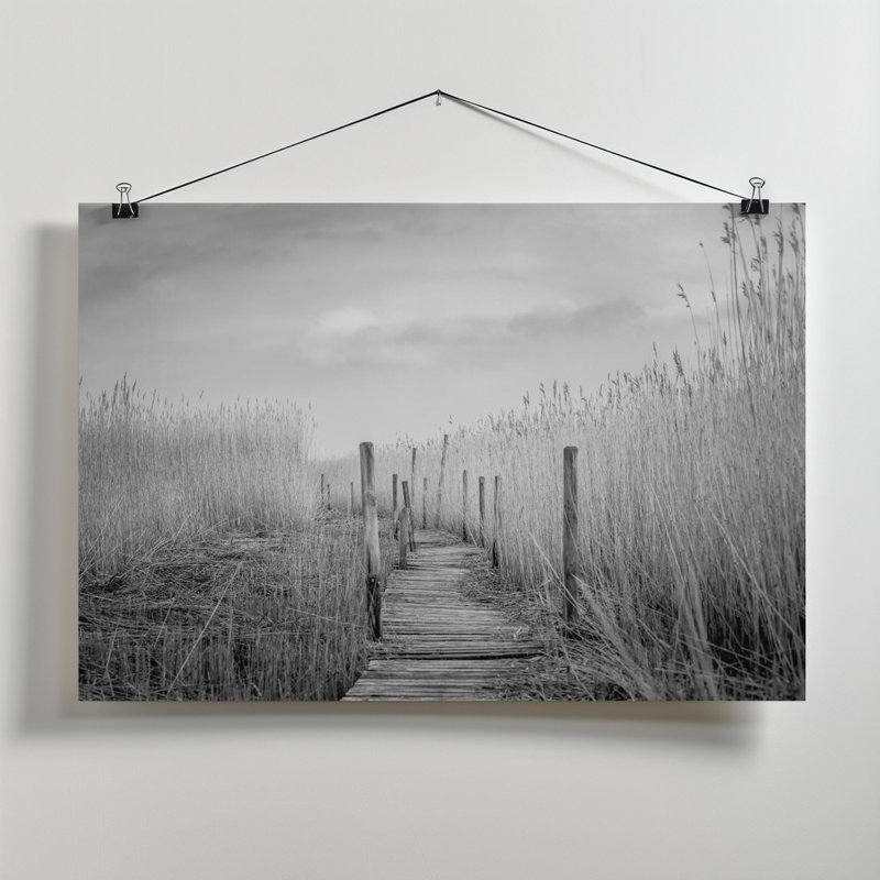 Wrapped Canvas Print, 50.8 cm H x 76.2 cm W