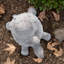 Aalayiah Tortoise Weather Resistant Garden Statue