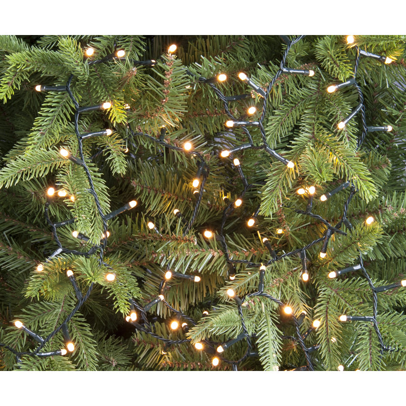 Aurora 5816.6cm LED Indoor / Outdoor String Lights, Warm White
