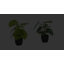 Plante 12,5 po Mcclellan