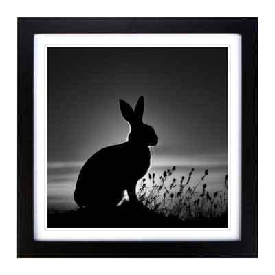 Rabbit Silhouette - Framed Print