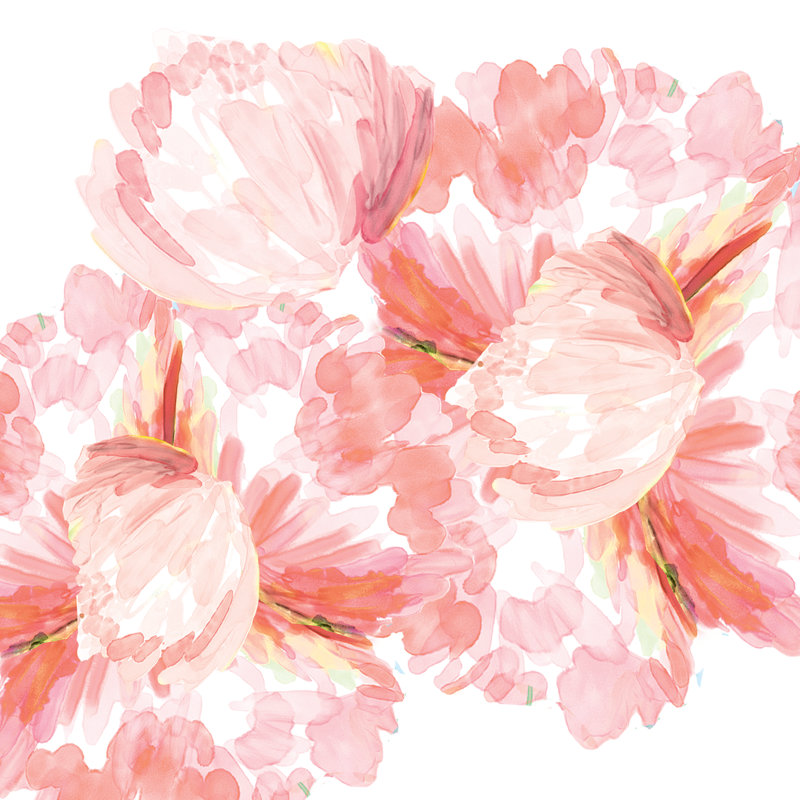 Pink Peonies On White - Wrapped Canvas Painting, 30cm H x 30cm W x 3.8cm D