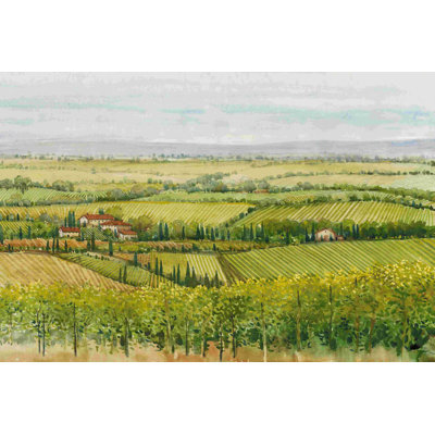 Vue du vignoble I