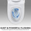 Une toilette en céramique allongée de 1,1 / 1,6 po de hauteur confortable, blanche et accrédité, siège à fermeture en douceur T039wt blanc allongé, longue durée