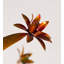 Piquet de jardin Laraib-1717123563-1717123562