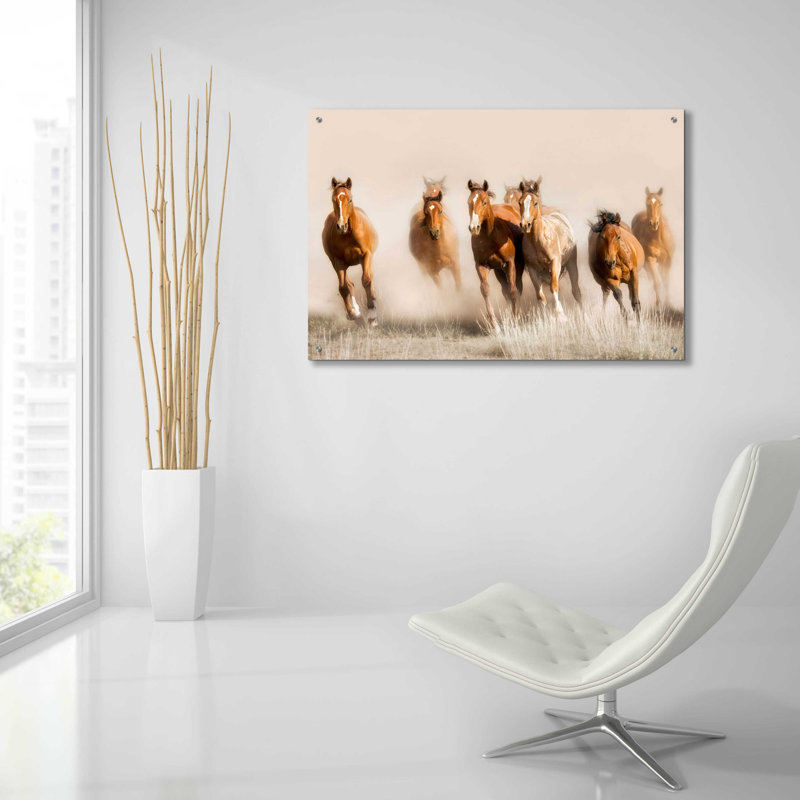 «Outlaws» par Lisa Dearing - photographie sans cadre, H 24 po x l 36 po x P 0,2 po