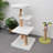 Multi-Level Climbing Frame for Cat