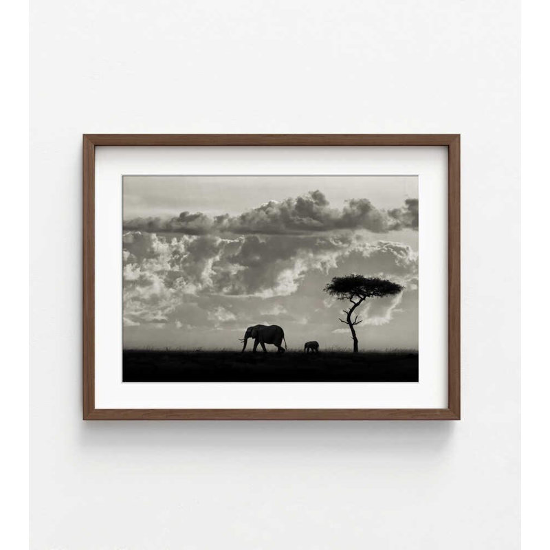 «Elephants at Dusk», reproduction de photo encadrée safari, H 18 po x l 24 po, Brun, Blanc