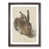 Walnut Framed