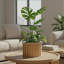 Pot rond Strata-851316410