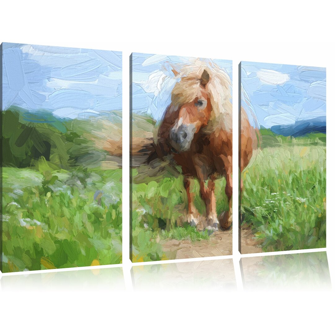 3-tlg. Leinwandbilder-Set „Shetlandpony auf der Wiese“, Grafikdruck