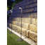 Parker LED Pathway Light