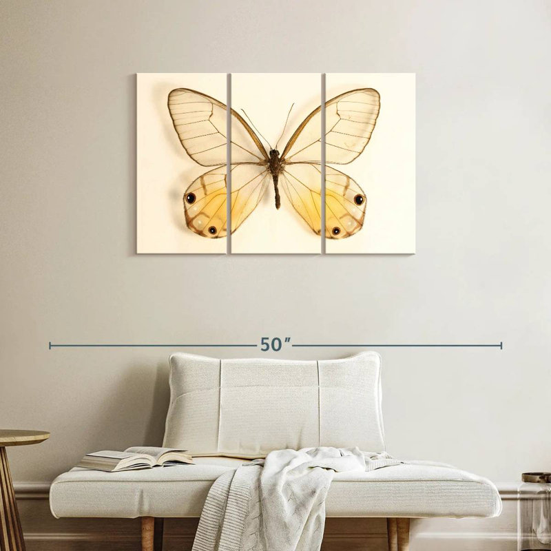 Butterfly Memento, 24" H x 38" W
