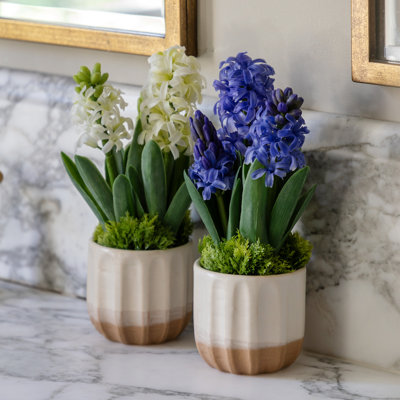 Spring Hydrangea Purple in Ceramic Pots