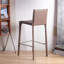 Chaise d'appoint à dossier brun uni (ensemble de 2)-291705057