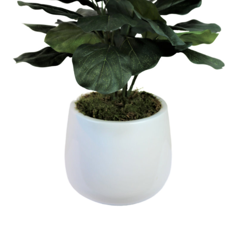 Organic Modern Faux Fiddle Leaf Fig Plant