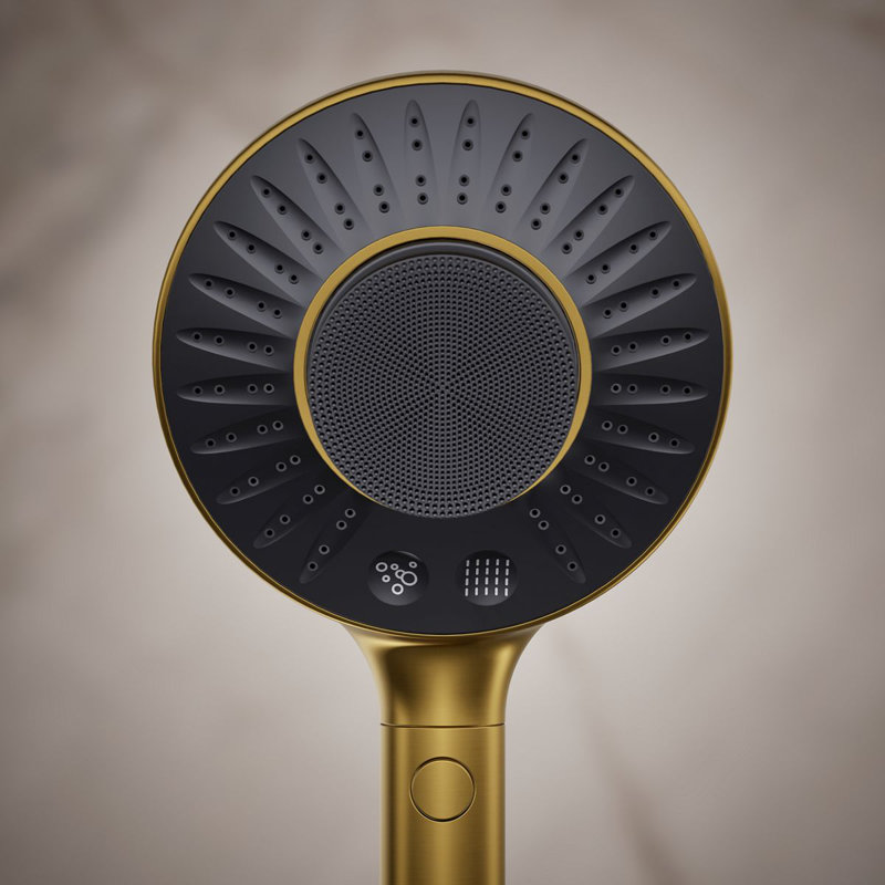Spaviva Two-Function Handshower With All-In-One Cleansing Device 2.5 GPM, Brushed Brass