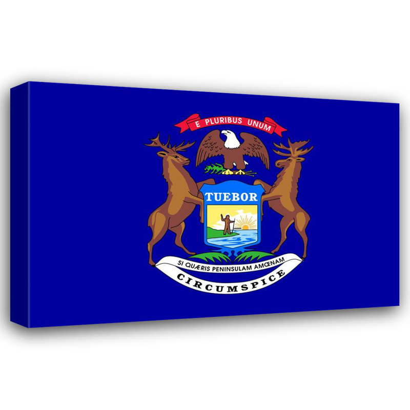 État du Michigan, H 27 po x l 40 po