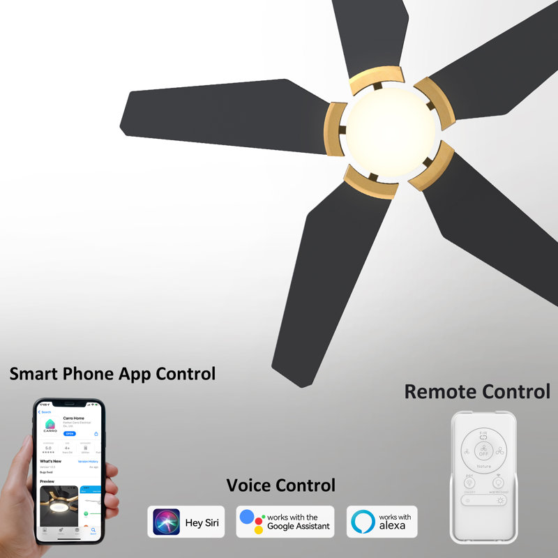  48'' Smart DC Motor Ceiling Fan with LED Lights and Remote Control