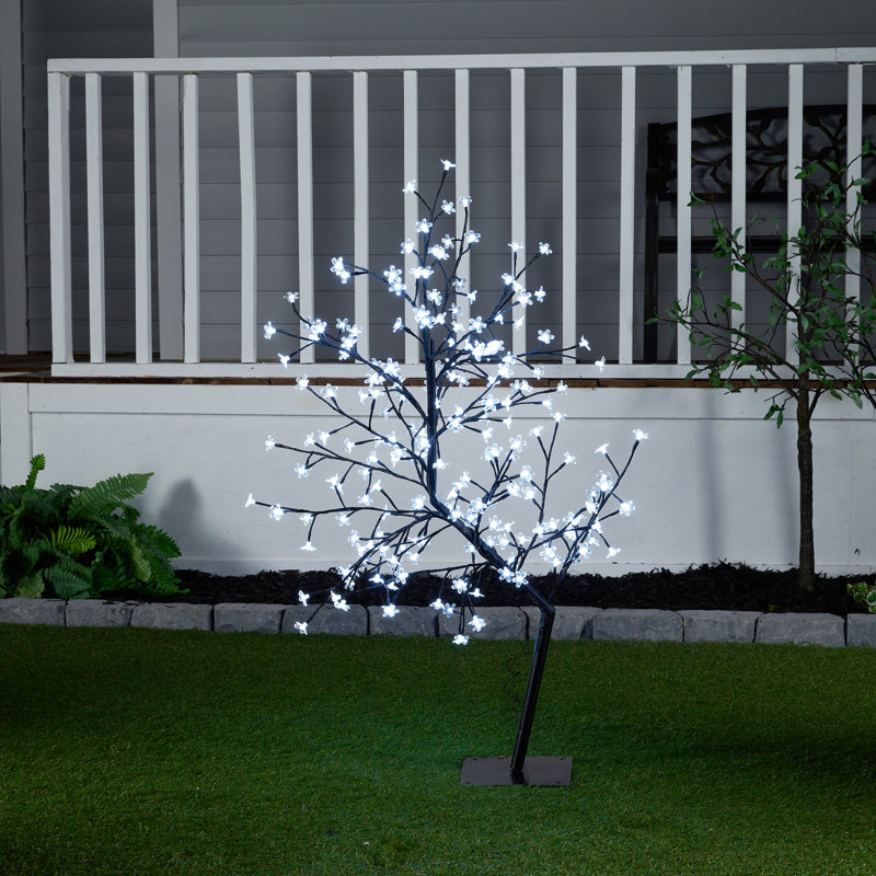 Cherry Lighted Display