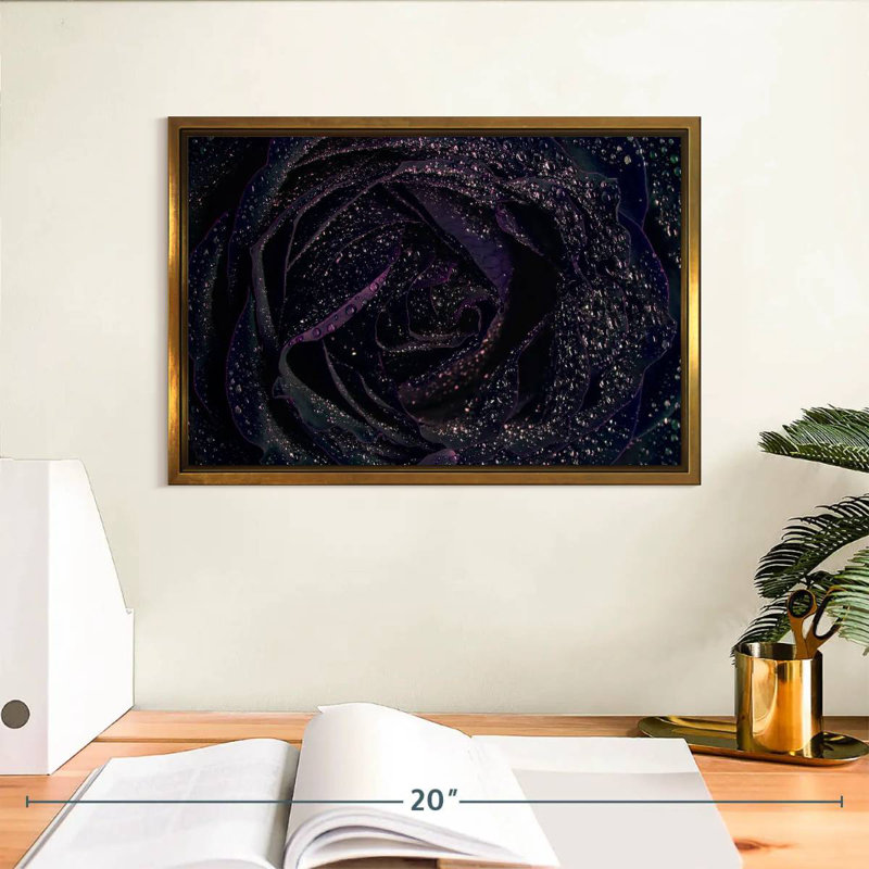 Rose noire scintillante, Cadre flottant doré, 13 po x 9 po