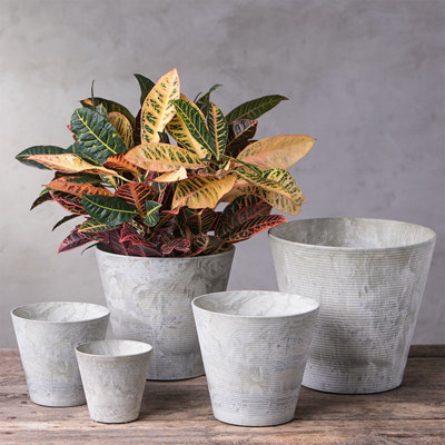 Carreras Planter