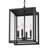 Isiah Outdoor Hanging Lantern