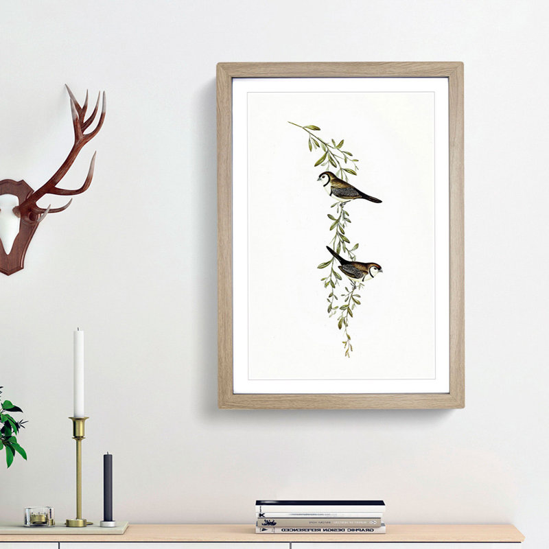 Black-Rumped Finch Birds by Elizabeth Gould - Picture Frame Painting Print, 65cm H x 48cm W x 2cm D, Oak Framed