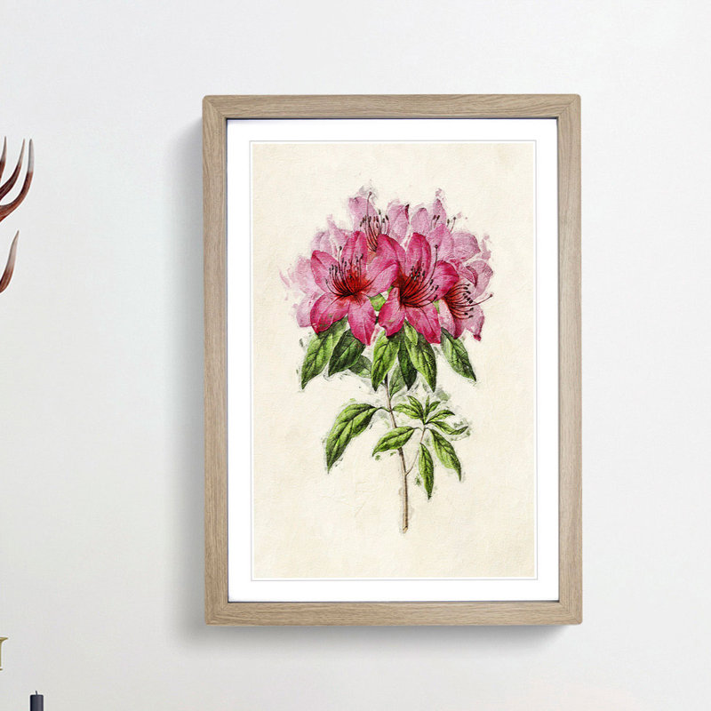 Illustration of a Bunch of Pink Azaleas - Picture Frame Painting Print, Oak Framed, 36cm H x 27cm W x 2cm D