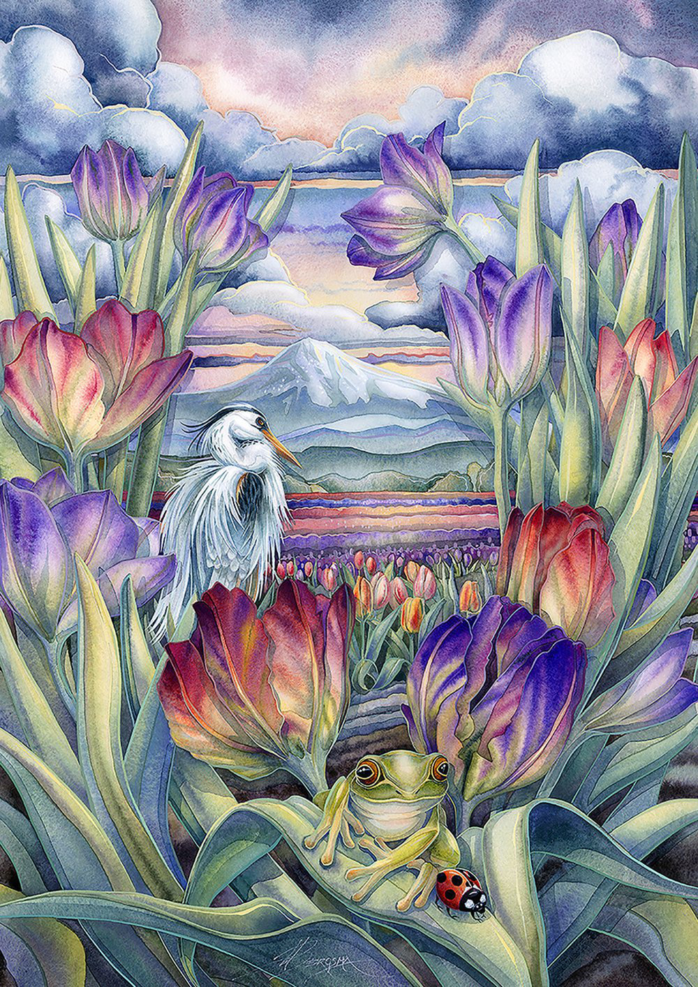 Toland Home Garden Drapeau De Maison 28 X 40 Po Drapeau Of Brunei