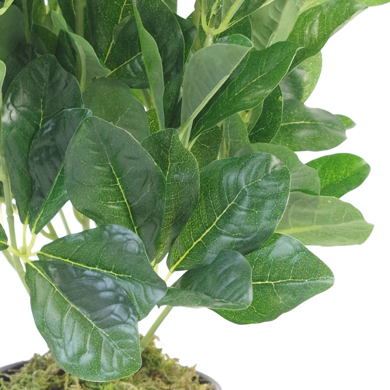 Anjeli 45cm Faux Foliage Plant in Pot