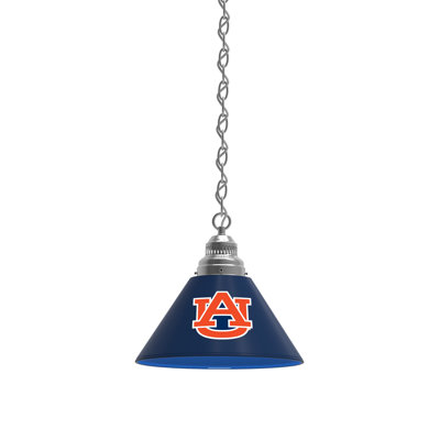 1 - Light Single Pendant
