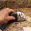 Customer photo 3 of 3