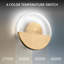 Crescent LED Wall Sconce-1692099410