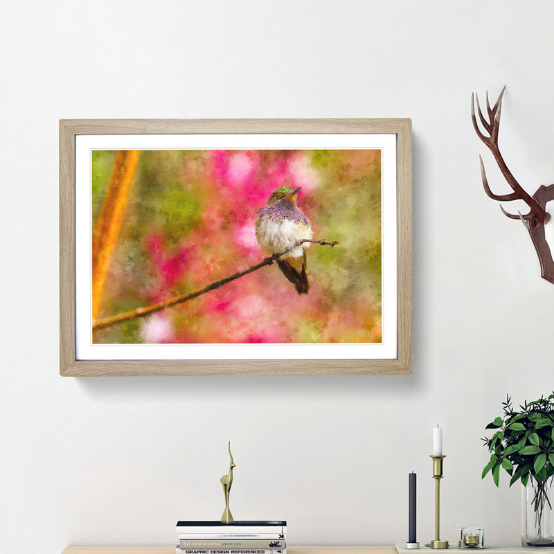 Hummingbird - Picture Frame Graphic Art Print, 27cm H x 36cm W x 2cm D, Oak Framed