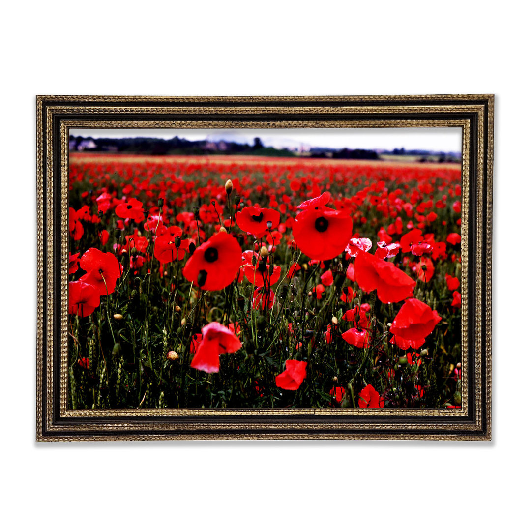 Gerahmtes Leinwandbild Red Poppy Field Hills