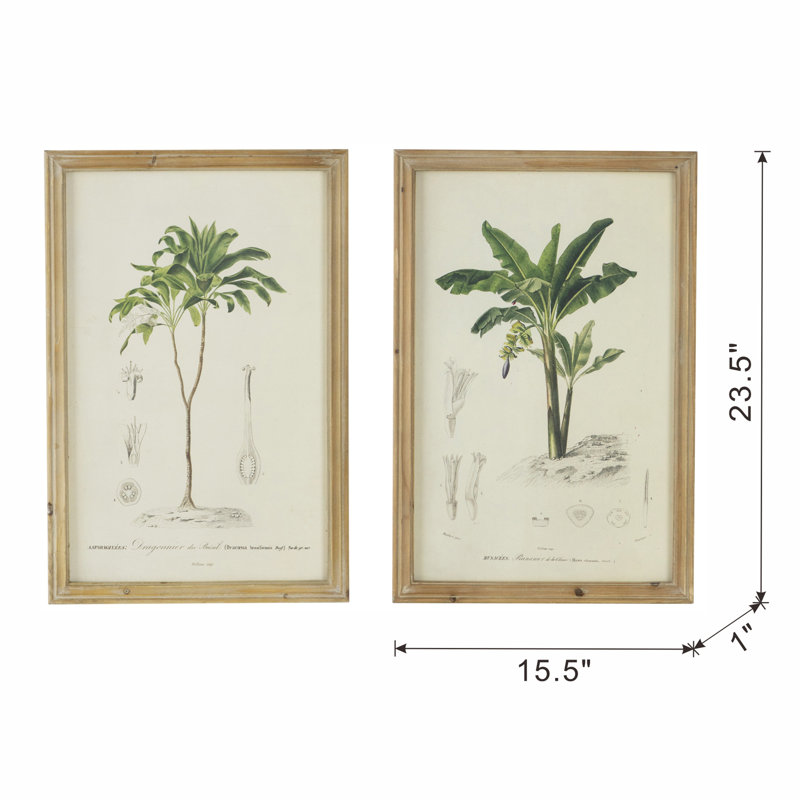 S/2 Tree Framed Print