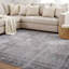 Tapis ivoire / gris Griffey-1441615333