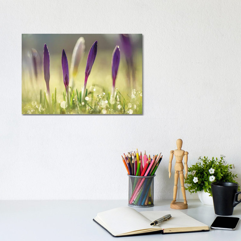 Four In A Row by Martin Podt - Wrapped Canvas Print, 20.32 cm H x 30.48 cm W