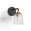 Chandice Single Hammered Dimmable Vanity Light