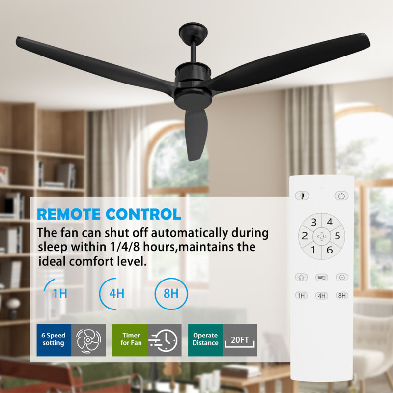 Ceiling Fan