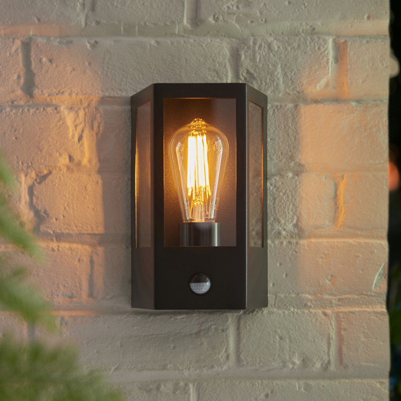 Matte Black 23cm H Outdoor Wall Lantern
