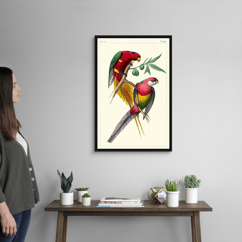 Art mural sur toile Lemaire Parrots III, Toile encadrée noire, H 32 po x l 22 po x P 2 po